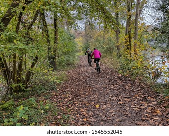 Two individuals ride their bicycles along a winding path surrounded by tall trees and fallen leaves, enjoying the tranquility of the autumn forest setting. - Powered by Shutterstock