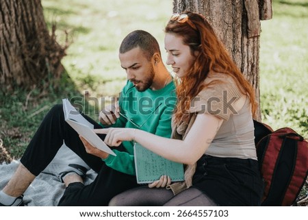 Two individuals sitting under a tree in a park, studying with books and notes, enjoying the outdoors while collaborating and focusing on their work.