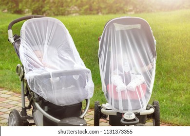 Two infant kids in strollers covered with protective net during walk. Baby carriage with anti-mosquito white cover. Midge protection for children during outdoor walking season