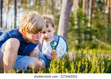 Two inquisitive little boy exploring the woods with a magnifying glass. - Powered by Shutterstock