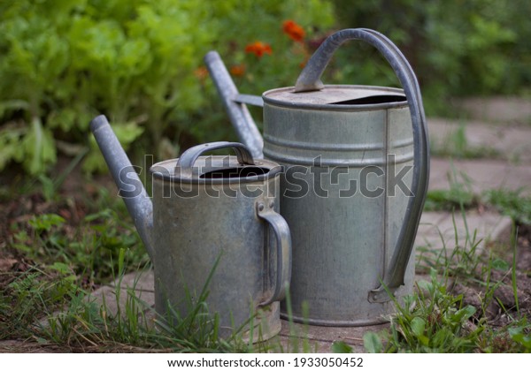Two iron watering cans stand on the path in the\
garden against the background of green grass.\
concept - vegetable\
garden, cottage, planting, watering, life on earth,\
spring\
Horizontal photo.\
Texture.