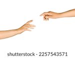 Two isolated hands on a white background try to touch their fingers. Beautiful hands, elegant gesture. Human isolated hands heading towards each other