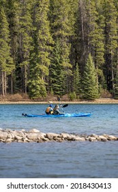 Two Jack Lake, Banff National Park, Alberta, Canada - May 16 2021: A Couple Paddling In Two Blue Kayaks At The Lake Next To The Pine Tree Forest 