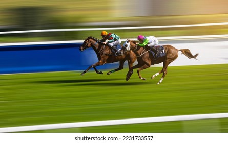 Two jockeys compete to win the race. Horse racing. Horses with jockeys running towards finish line.