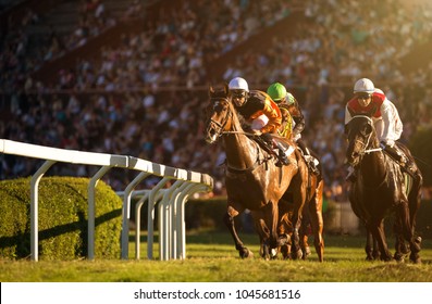 Two jockeys during horse races on his horses going towards finish line. Traditional European sport. - Shutterstock ID 1045681516