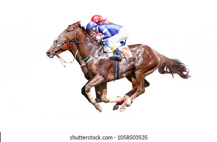 Two Jokey on a thoroughbred horse runs isolated on white background