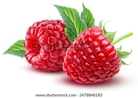 Similar – Image, Stock Photo Raspberries Raspberry