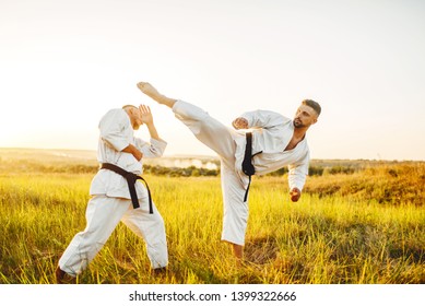 Two Karate Fighters, Kick In The Stomach