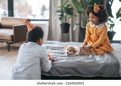 Two Kids In Bday Hats Celerating Puppys Birthday