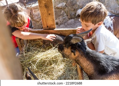 Two Kids - Boy And Girl - Taking Care Of Domestic Animals On Farm