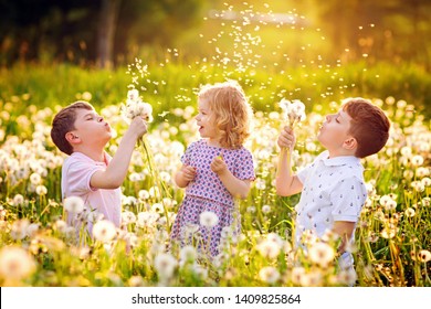 Two kids boys and little baby girl blowing on a dandelion flowers on the nature in the summer. Happy healthy toddler and school children with blowballs, having fun. Family of three love, together