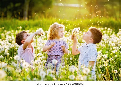 Zwei Kinder Jungen und kleines Mädchen weht auf einem Löwenzahn Blumen auf der Natur im Sommer. Fröhliches gesundes Kleinkind und Schulkinder mit Blaskugeln, Spaß. Familie der drei Liebe, zusammen
