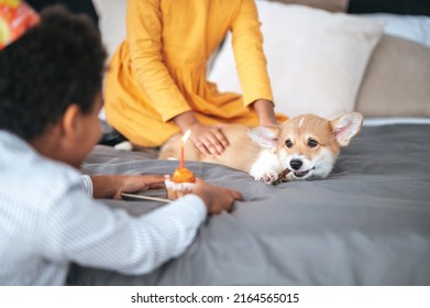 Two Kids Celebrating Puppys Bday And Offering Him A Pancake