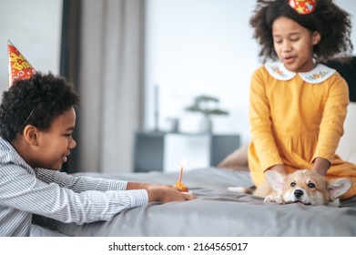 Two Kids Celebrating Puppys Bday And Offering Him A Pancake