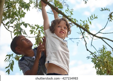 Two kids on a tree climbing and helping each other