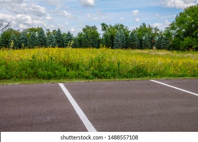 Two Kinds Of Open Space, Parking Lot And Prairie Restoration Area, In A County Park, Southern Wisconsin, USA, In Summer