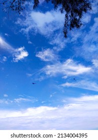 Two Kites In The Sky