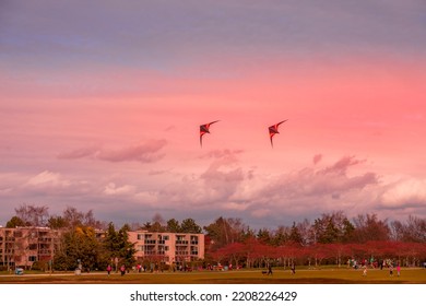 Two Kites In The Sky