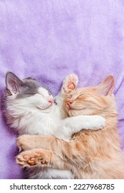 Two kittens white and red are sleeping sweetly on a lilac blanket. Vertical photo