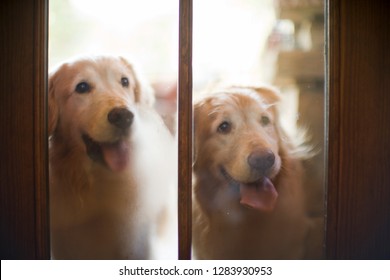 36,398 Waiting at door Images, Stock Photos & Vectors | Shutterstock