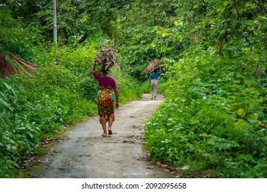 Two ladies carring firewood through the forest going home