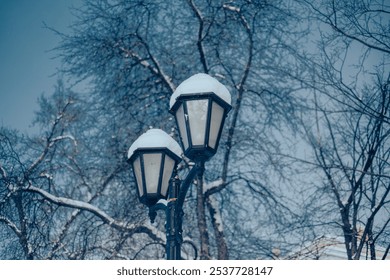 Two lampposts are topped with fresh snow, surrounded by bare trees under a clear sky, showcasing a tranquil winter atmosphere during the day. - Powered by Shutterstock