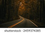 Two land road with fall foliage. Peaceful road. Blacktop lonely road.