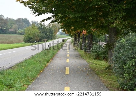 Two lanes cycle path running parallel with a main road. They are separated by a grass stipe. The other side of the cycle path there are trees and bushes.  Both roads meet in diminishing perspective