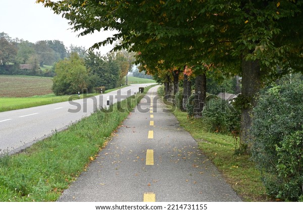 Two lanes cycle path running parallel with a
main road. They are separated by a grass stipe. The other side of
the cycle path there are trees and bushes.  Both roads meet in
diminishing perspective