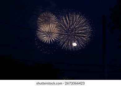 Two large golden fireworks explode against a deep blue night sky.