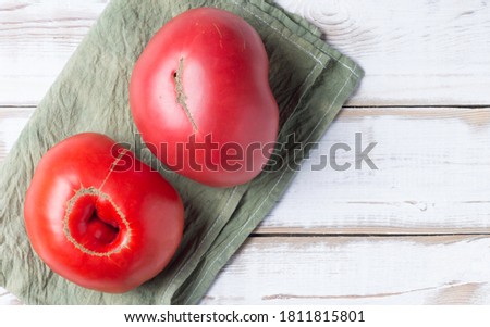 Two large red tomatoes on a light wood background, on a green napkin. Nonstandard ugly food. Copy space.