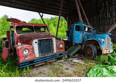 Two large, rusty trucks, one red and one blue, are abandoned under a wooden shelter. The trucks are both damaged and missing parts, but their original colors are still visible. - Powered by Shutterstock