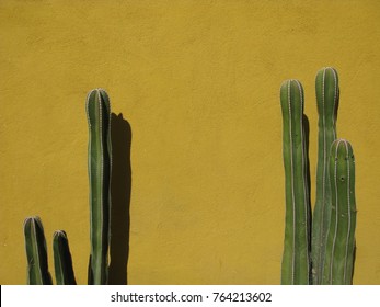 818,771 Cactus background Images, Stock Photos & Vectors | Shutterstock