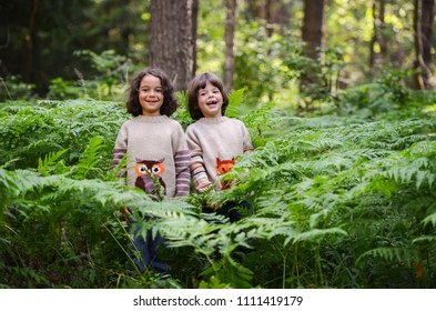 Two Laughing Boys In Matching Sweaters Stand In A Fern In The Forest.