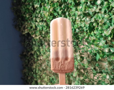 Two layer milk and chocolate ice cream bar on wooden stick against green leaf wall background
