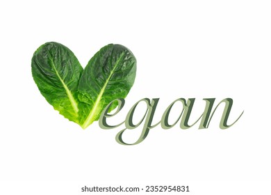 Two leaves of Romaine lettuce in the shape of the letter V in the word vegan isolated on white background. Healthy nutrition. Organic greens. Veganism, animal rights protection. Modern creative design