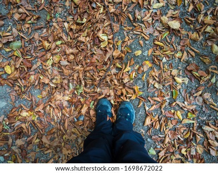 Two legs in autumn foliage, view from up. Carpet of dried leaves at the feet. Fall, autumn concept.