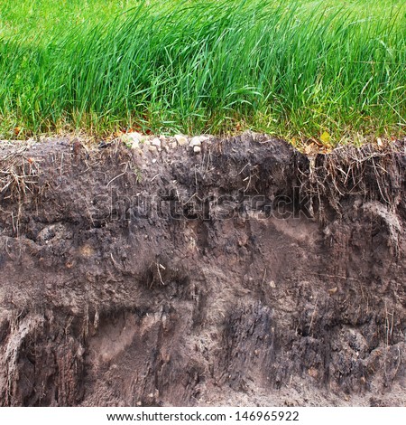 Two levels of grass and soil