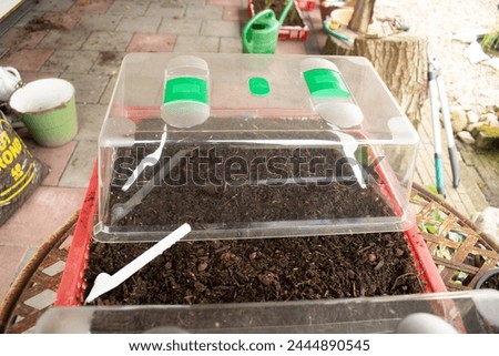 two lids of grow boxes over a plastic container with potting soil and seeds
