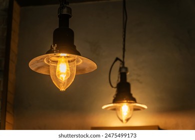 Two Light Bulbs Hanging From Ceiling, Representing Rising Electricity Costs and Creative Solutions