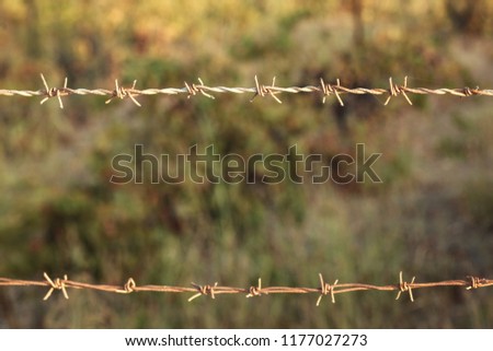 Two lines of old dry rusty barbed wire with some spider silks, blurred green bushes/forest in background.