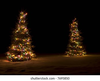 Two Lit Up Christmas Trees Outside