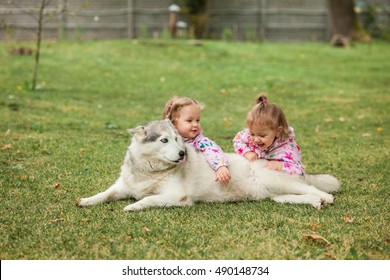 The two little baby girls playing with dog against green grass Adlı Stok Fotoğraf