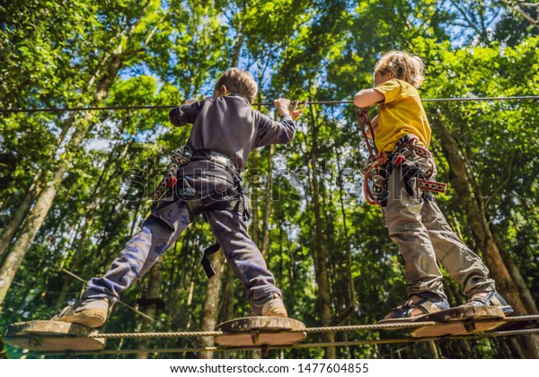 Two\
little boys in a rope park. Active physical recreation of the child\
in the fresh air in the park. Training for\
children