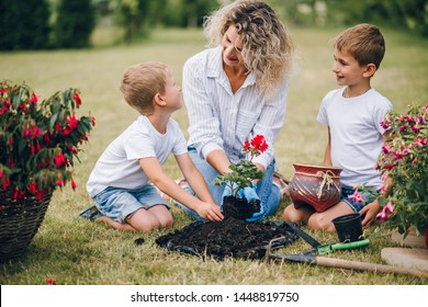 Two little brothers helps their mother to care for plants. Mother with sons engaged in gardening in gardening in garden. Happy family in spring day.  Dirty hands from gardening. - Shutterstock ID 1448819750