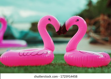 Two little flamingos kiss on the green grass in front of the pool. Flamingos in the form of a heart. Coasters for the pool. The concept of summer pastime. Beach summer composition