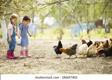 Two Little Girl Feeding Chickens