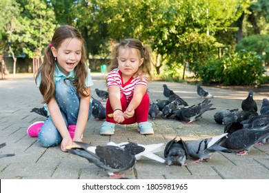 Two Little Girls Feeding Group Of Pigeons With Seeds From Her Hands On The Footpath In Park On Sunny Day. Children Interact With Birds. Kids Taking Care Of Animals Outdoor.