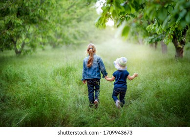 Two Little Girls In Jeans Clothes Holding Hands Are Going Through Green Summer/spring Garden. Family Time, Summer Mood. Green Grass And Leaves, Fresh Air Walking. Soft Light Bokeh. Lonely Children.