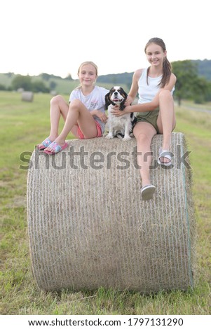 Similar – Foto Bild Zwei Ballen Heu